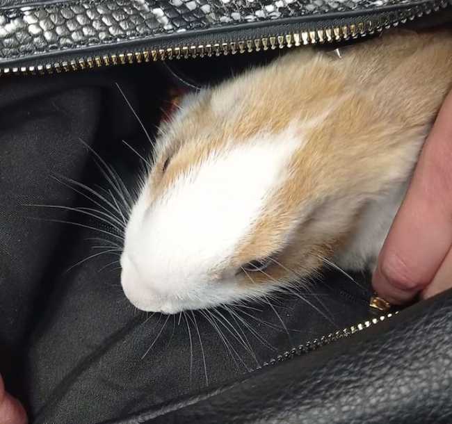 279513959 4911502995627700 4778423280900814009 n