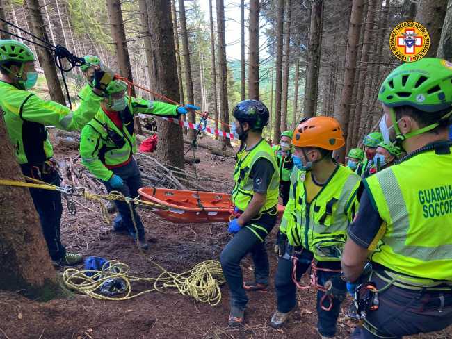 62E8D859 5541 4D99 A3B5 BEEC19DFCEFF