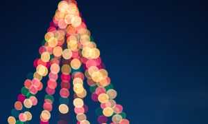Albero natale luci