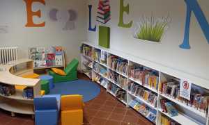 Arona biblioteca interno