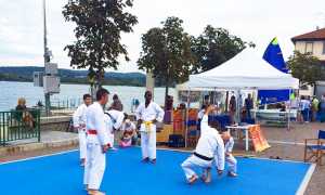 Arona sport judo 