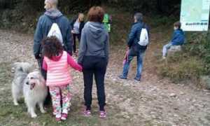DOG DAY MIASINO
