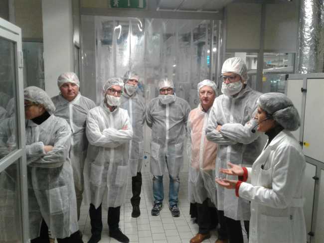 Diaziendainazienda Laica Lucia Saini