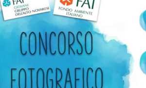 Fai concorso