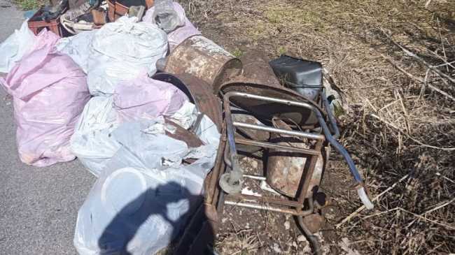 Foto Giornate Ecologiche 2024 Invorio 06