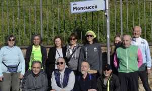 I camminatori novaresi e lombardi a