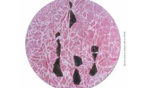 RMFAtelier