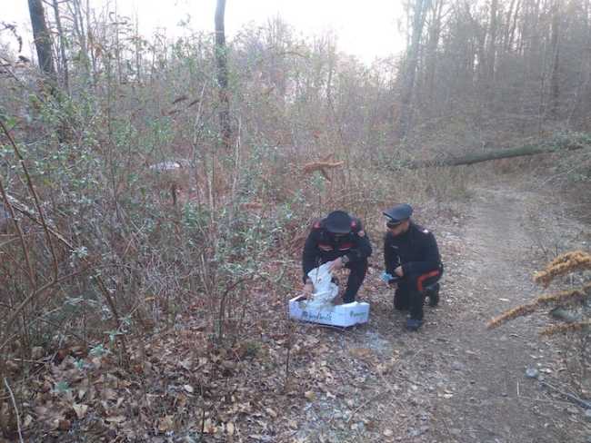 WhatsApp Image 2022 03 30 at 14.35.09