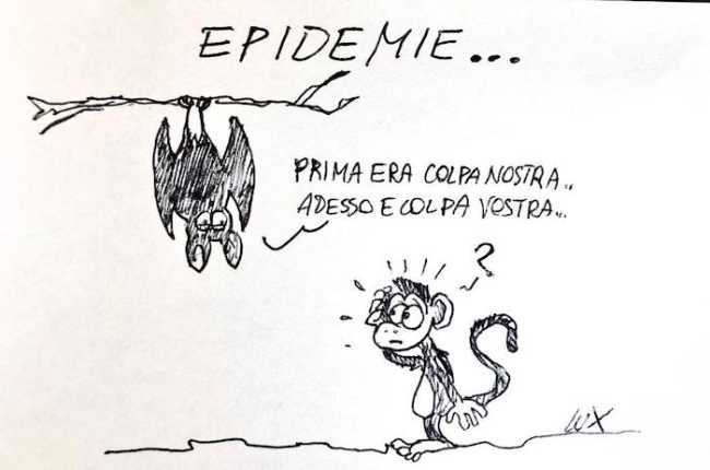 WhatsApp Image 2022 06 01 at 15.32.51