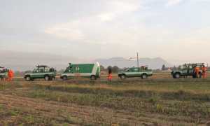 aib cantalup