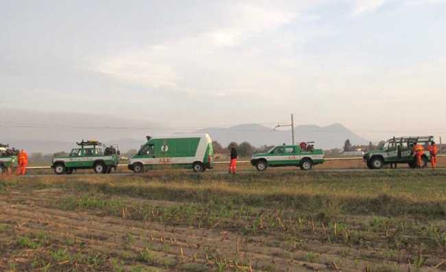 aib cantalup