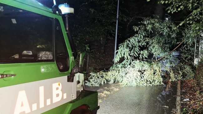 aib invorio alberi caduti