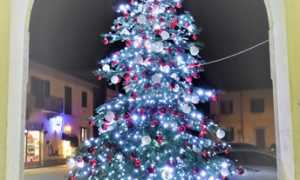albero Marano