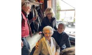 arona 100 sig adelina