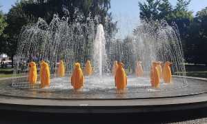 arona cracking pinguini