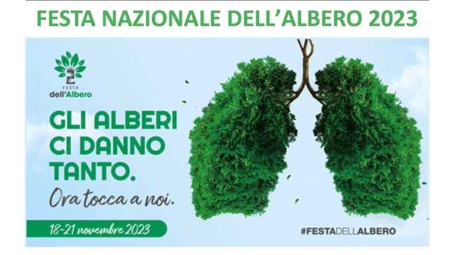 arona festa albero 2023