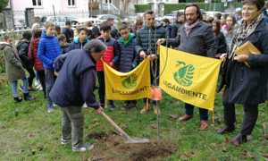 arona festa albero