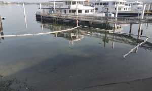 arona lago chiazze oleose