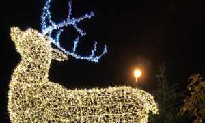 arona natale 3