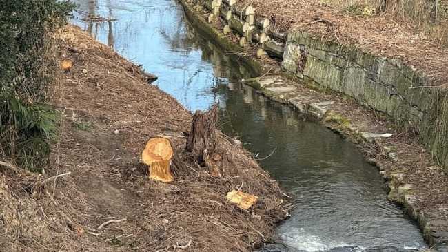 arona vevera sistemazione