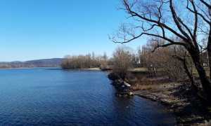 arona zona lido