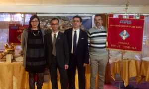 avis arona pieve torina