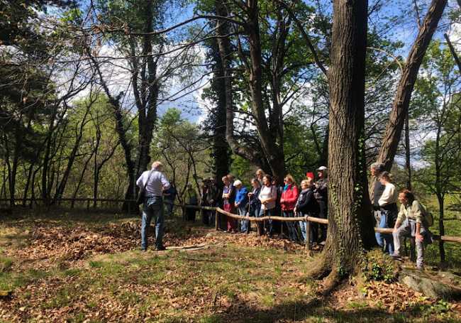 avventure Gasma arona