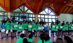 basket camp