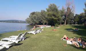 beach club arona