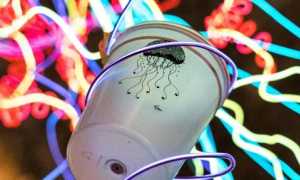bicchiere p cup