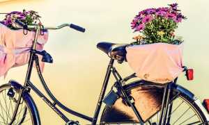 bici fiori