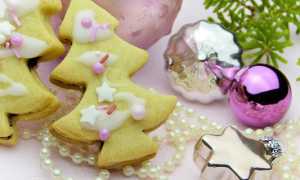 biscotti natale