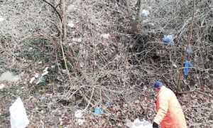 borgo ticino pulizia volontari