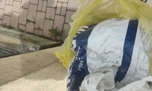 borgo ticino rifiuti