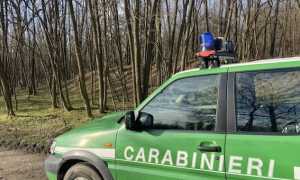 carabinieri forestale auto lato