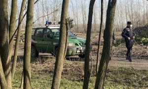 carabinieri forestale auto uomo