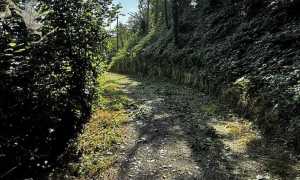 castelletto vernome