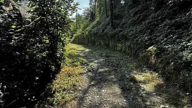 castelletto vernome