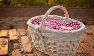 cestino pic nic