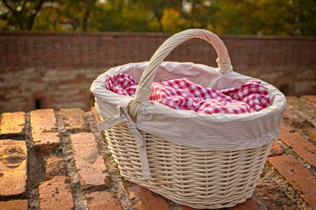 cestino pic nic
