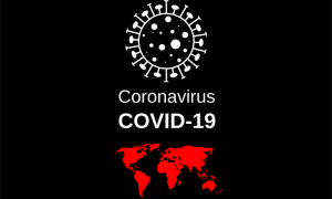 coronavirus covid mappa 19