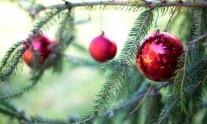 decoraz natale