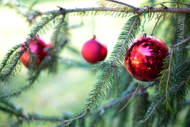 decoraz natale