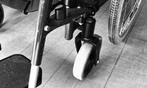 disability manager