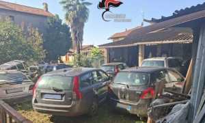 divignano auto abbandonate