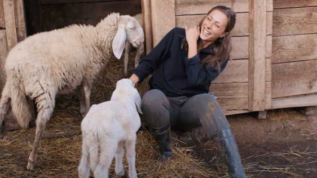 documentarista miletta