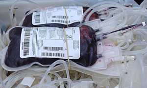 donazione sangue 2