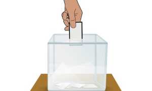 elezioni mano scheda