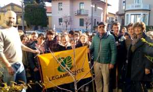 festa albero arona