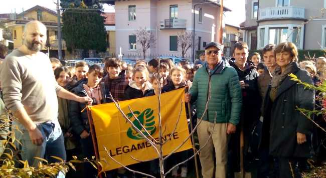 festa albero arona